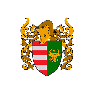 Moldovan National Buhurt Organization logo